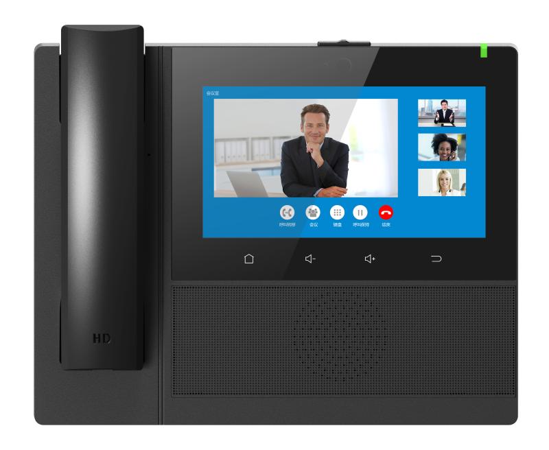 DS-65IP100-7视频电话机