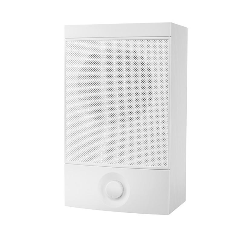 DS-KBS3101-W壁挂音箱