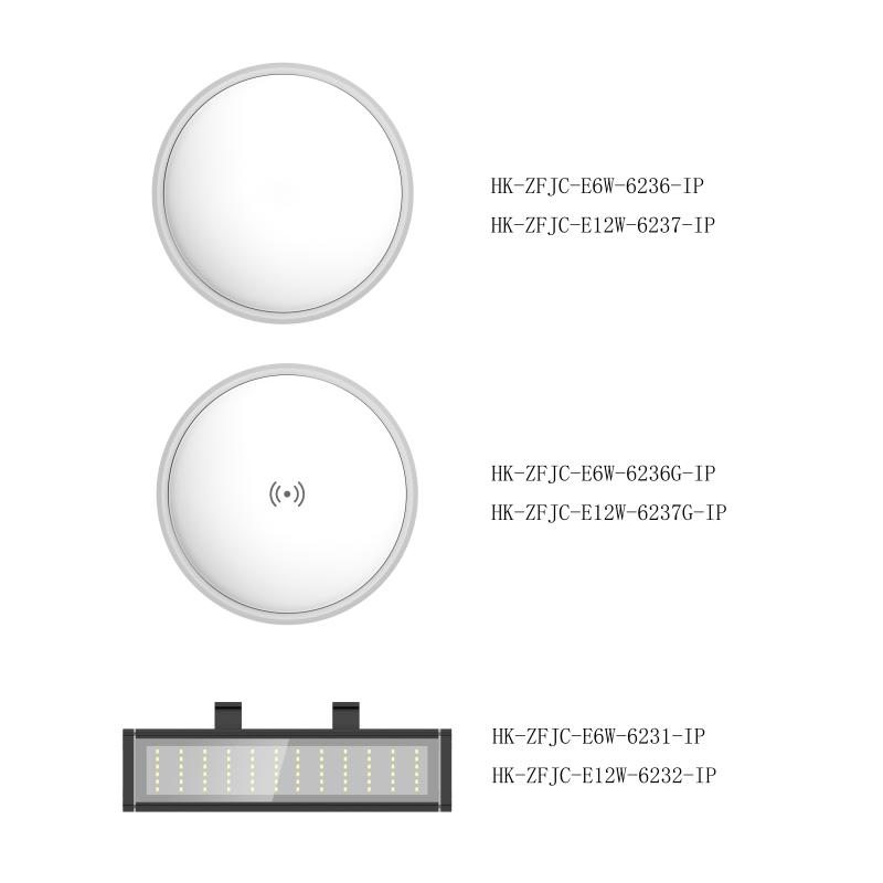 HK-ZFJC-E12W-6232集电集控型照明灯具